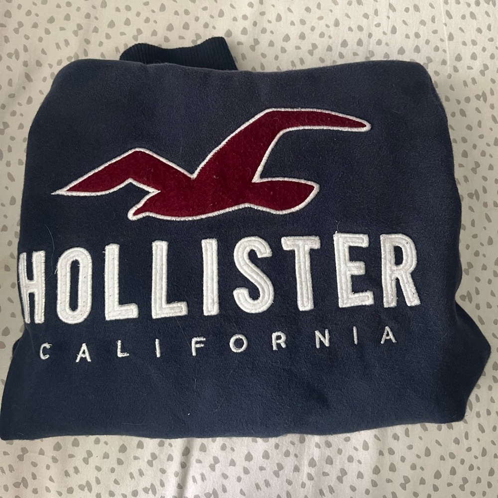 Hollister Hoodie, Size Small, Navy